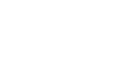 BORGWARNER