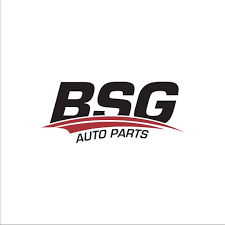 BSG Logo