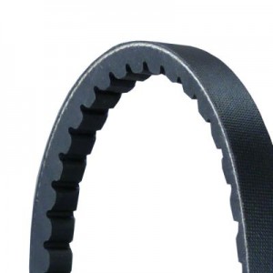 V Kayisi Universal 79-