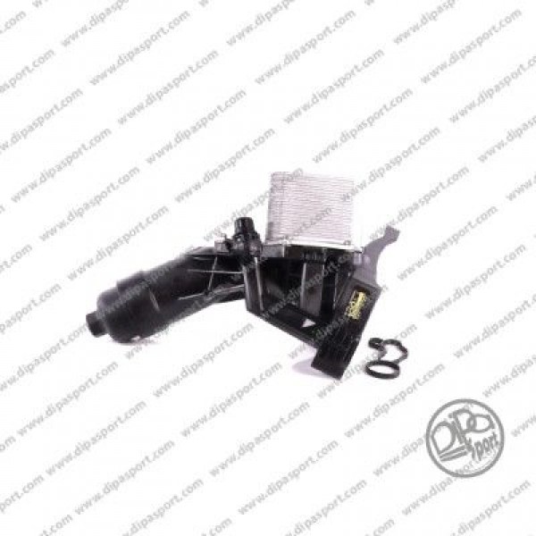 Egr Valfi Vag A4 Pas T5 03- 