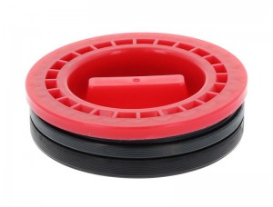 Krank Kecesi On Land Rr3 02-